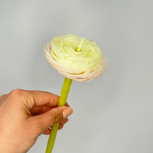 Load image into Gallery viewer, Ranunculus Flower candle
